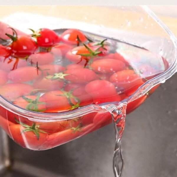 Double Layer Colander